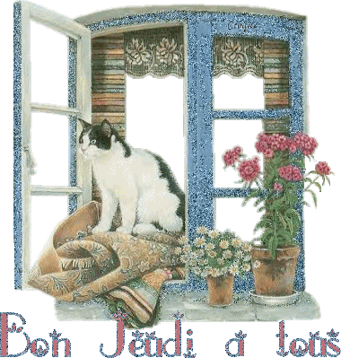 Bon jeudi à tous chat sur fenêtre 